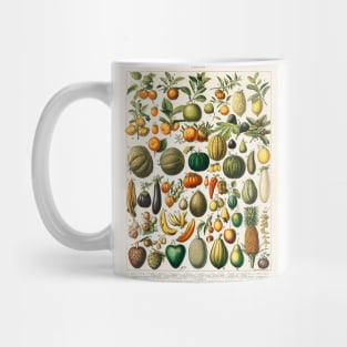 variety of fruits and vegetables Mug